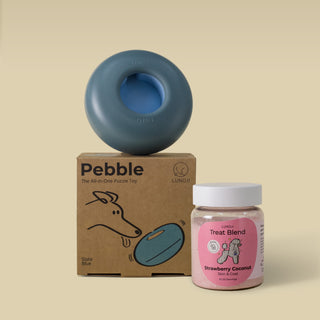 Pebble Starter Kit (1 Pebble + 1 Blend)