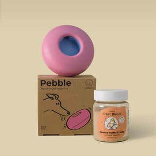 Pebble Starter Kit (1 Pebble + 1 Blend)