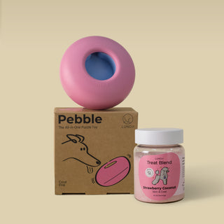 Pebble Starter Kit (1 Pebble + 1 Blend)