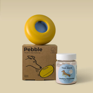 Pebble Starter Kit (1 Pebble + 1 Blend)