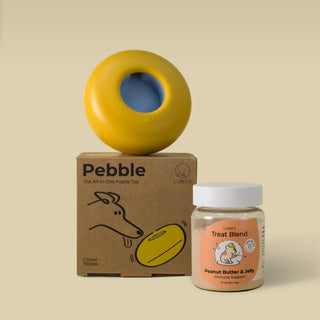 Pebble Starter Kit (1 Pebble + 1 Blend)