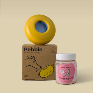 Pebble Starter Kit (1 Pebble + 1 Blend)