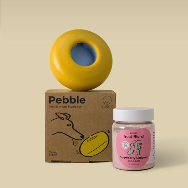 Pebble Starter Kit (1 Pebble + 1 Blend)