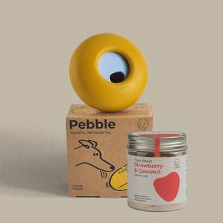 Pebble Starter Kit (1 Pebble + 1 Trove Blend)