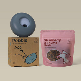 Pebble Starter Kit (1 Pebble + 1 Pkt Training Bites)
