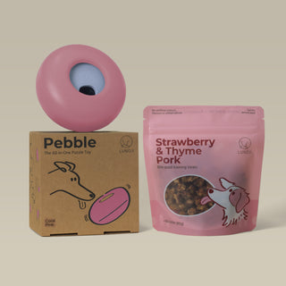 Pebble Starter Kit (1 Pebble + 1 Pkt Training Bites)