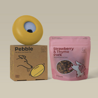 Pebble Starter Kit (1 Pebble + 1 Pkt Training Bites)