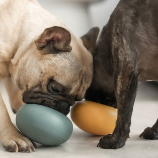 Two Dogs with Pebble Slow Feeder Toy