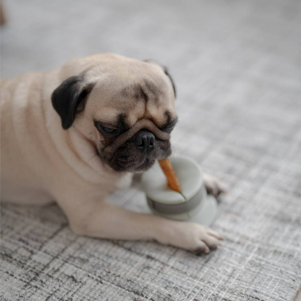 Dog chewing treats held by Chewden Grip Chew Holder