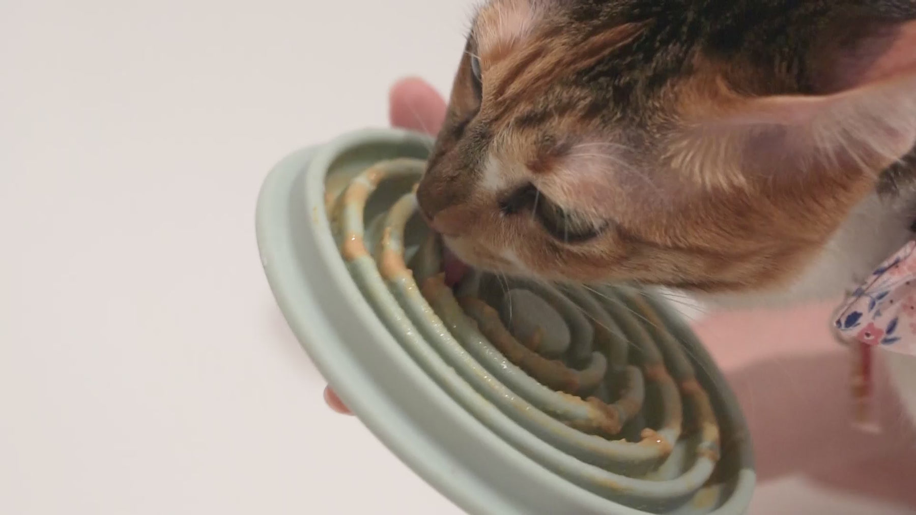 Twirl Lick Mat Cats