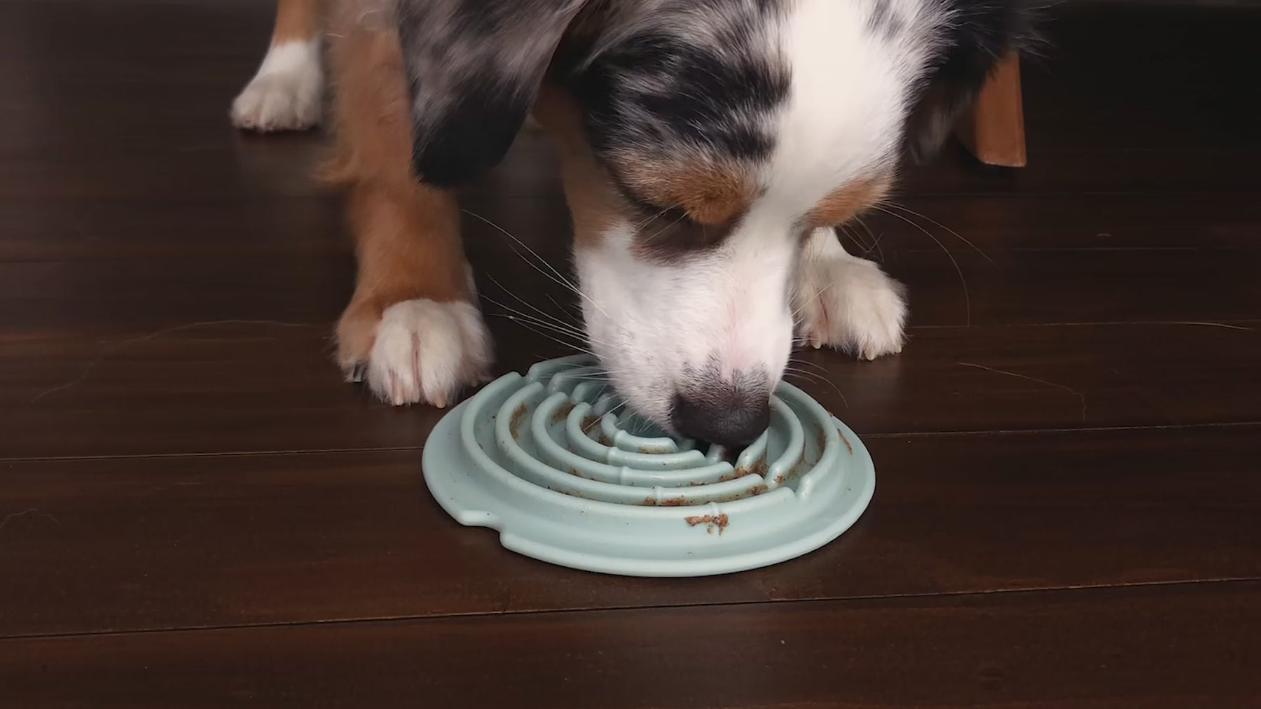Dog using Twirl Lick Mat Slow Feeder